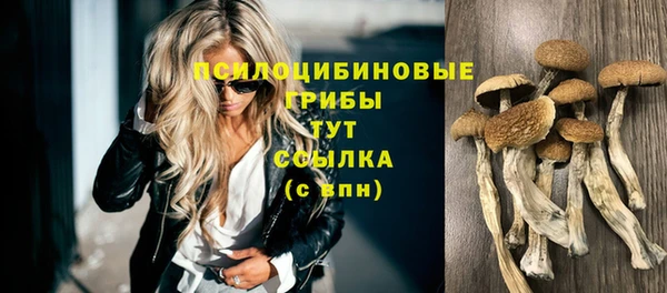синтетический гашиш Богородск