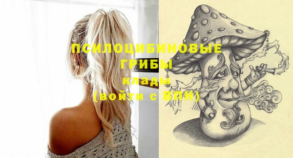 тгк Богданович