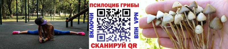 Псилоцибиновые грибы Cubensis  Кемь 